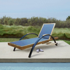 Foshan Darwin Wholesale Sun Lounger 