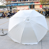 Beach Patio Umbrella